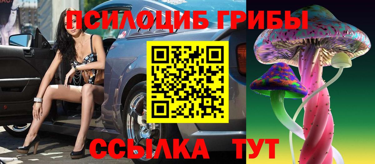 Галлюциногенные грибы GOLDEN TEACHER Зеленокумск