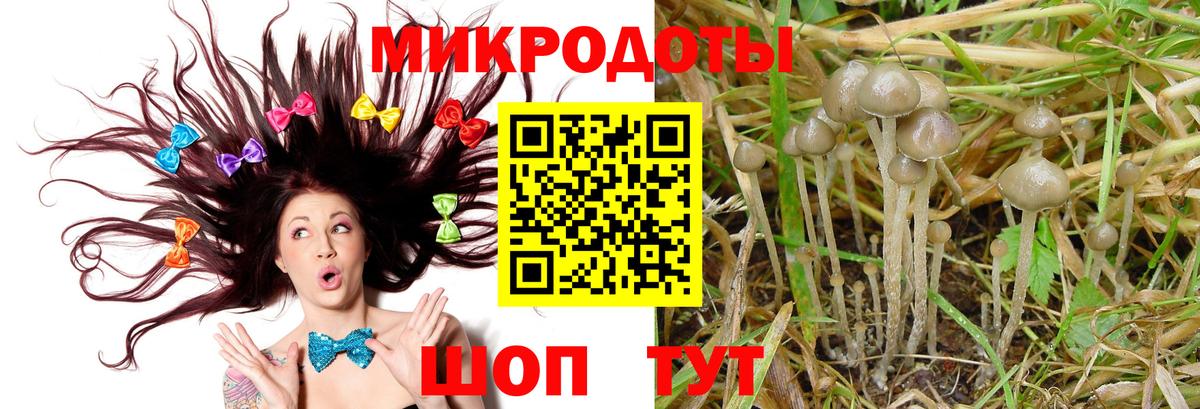 Галлюциногенные грибы мицелий  Вход с VPN  Зеленокумск 